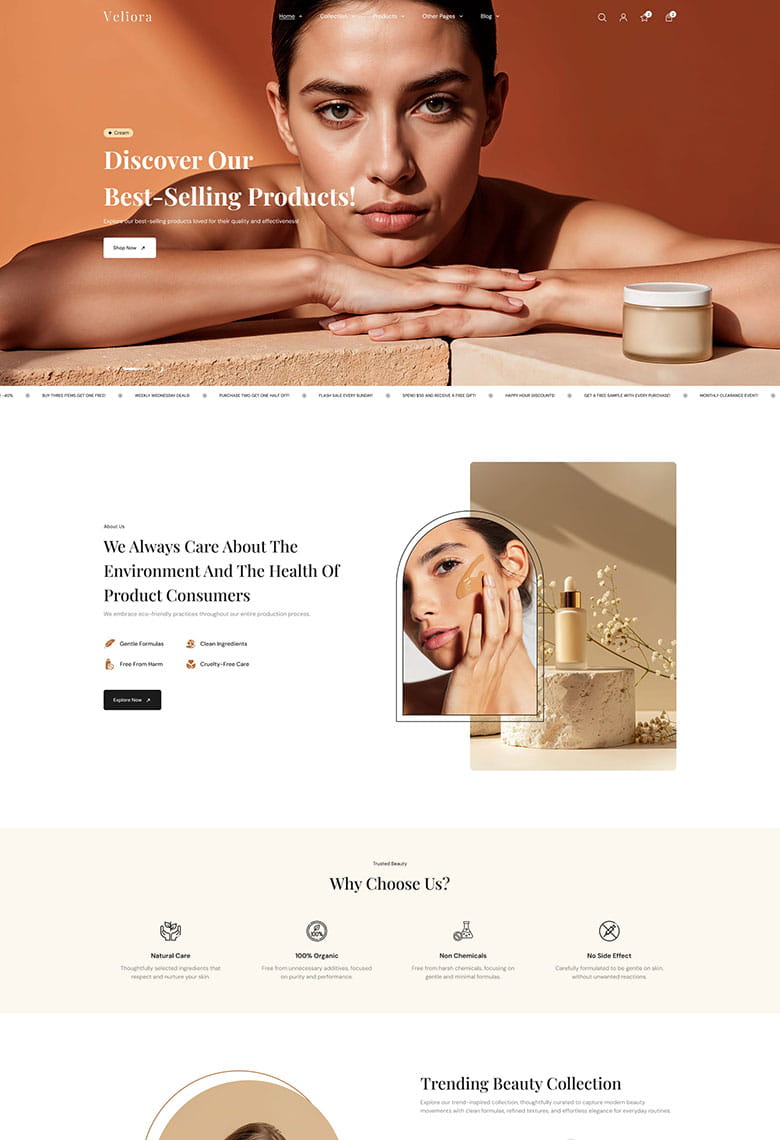 Beauty and Cosmetics Shopify - 1