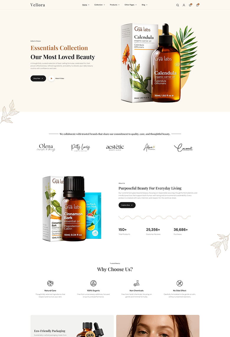 Beauty and Cosmetics Shopify - 5